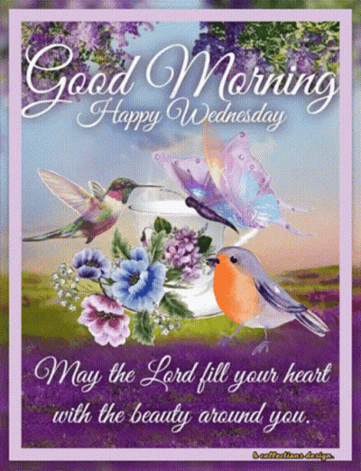 A Greeting Card That Says Good Morning Happy Wednesday With Flowers And Birds GIF