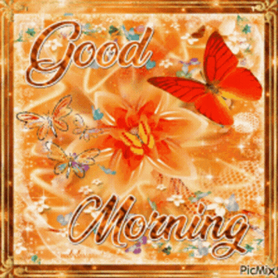 A Greeting Card That Says Good Morning With Flowers And Butterflies GIF