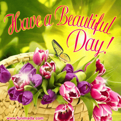 A Greeting Card That Says Have A Beautiful Day With Purple Flowers In A Basket GIF