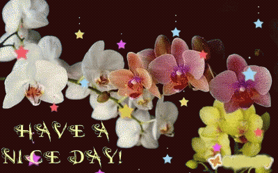 A Greeting Card That Says Have A Nice Day With Flowers And Stars GIF