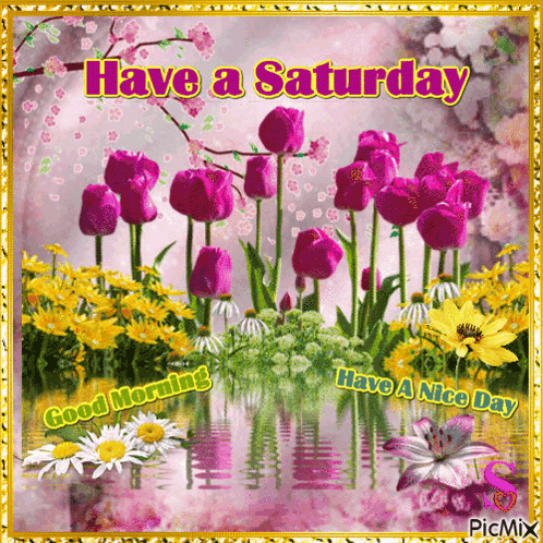 A Greeting Card That Says Have A Saturday And Good Morning GIF