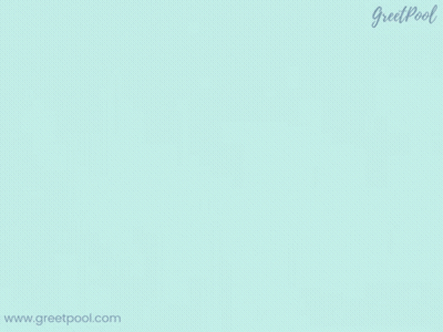 A Greeting Card That Says It 'S A Boy With A Hamster On An Airplane GIF