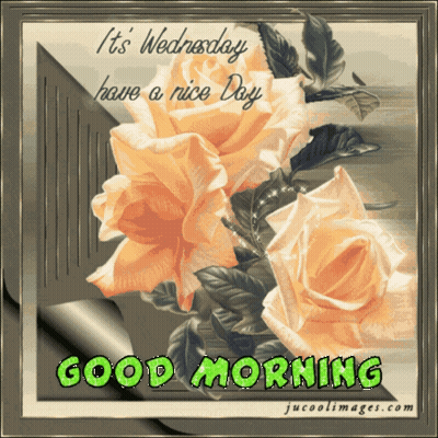 A Greeting Card That Says It 'S Wednesday Have A Nice Day And Good Morning GIF
