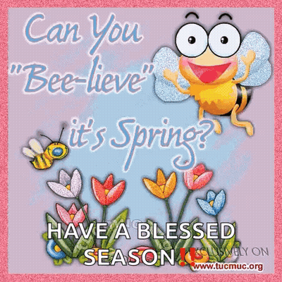 A Greeting Card With A Bee And Flowers That Says Can You Bee-Lieve It 'S Spring GIF