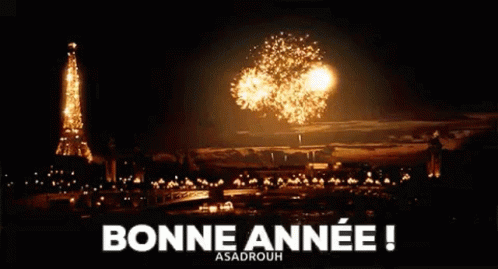 Fireworks Display With Bonne Annee GIF