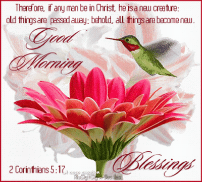 A Greeting Card With A Flower And A Hummingbird Says Good Morning And Blessings GIF