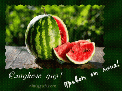 A Greeting Card With A Watermelon And A Slice Of Watermelon On A Green Background GIF