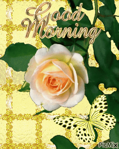 A Greeting Card With A White Rose And Butterflies That Says Good Morning GIF