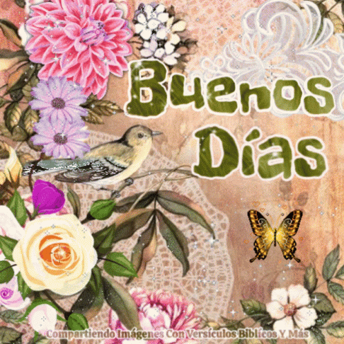 A Greeting Card With Flowers And A Bird Says Buenos Dias GIF