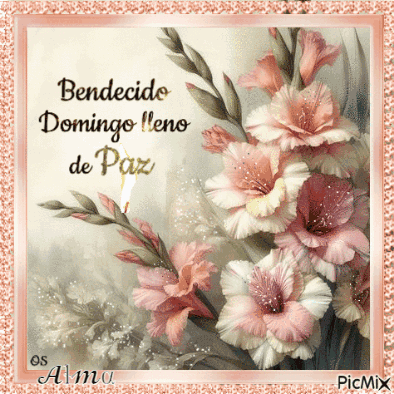 A Greeting Card With Pink And White Flowers Says Bendido Domingo Lleno De Paz GIF