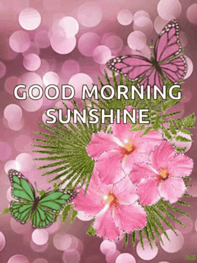A Greeting Card With Pink Flowers And Butterflies Says Good Morning Sunshine GIF