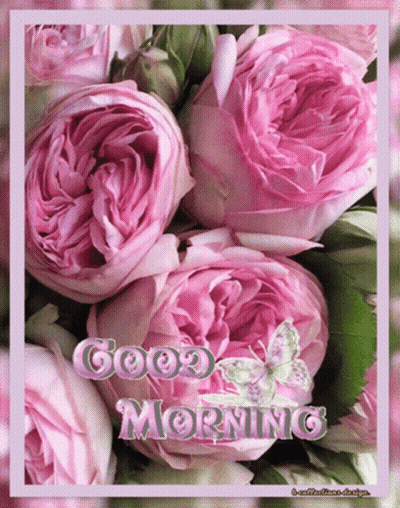 A Greeting Card With Pink Flowers And The Words Good Morning GIF