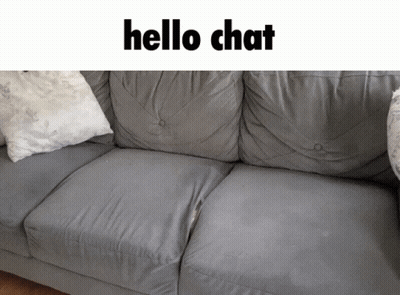 A Grey Couch With White Pillows And The Words Hello Chat On Top GIF