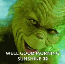 A Grinch Says `` Well Good Morning Sunshine '' While Smiling . GIF