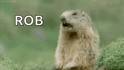 A Ground Squirrel Is Standing In The Grass With Its Mouth Open And The Word Rob Written Above It . GIF