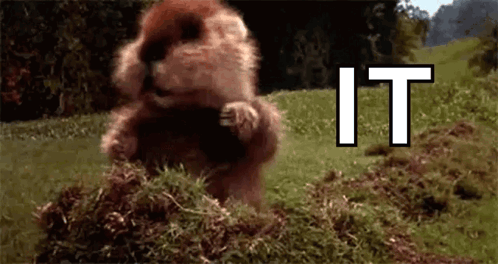 A Ground Squirrel Is Standing On Its Hind Legs In A Field With The Words `` It '' Above It . GIF