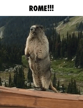 A Ground Squirrel Standing On Its Hind Legs In Front Of A Forest With The Words Rome Written Above It GIF