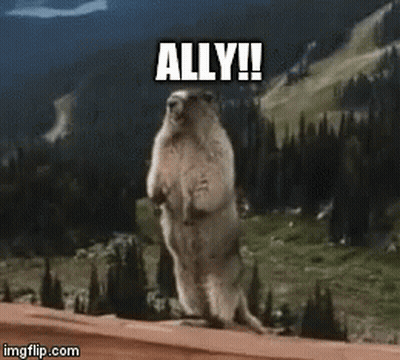 A Ground Squirrel Standing On Its Hind Legs With The Caption Ally !! GIF