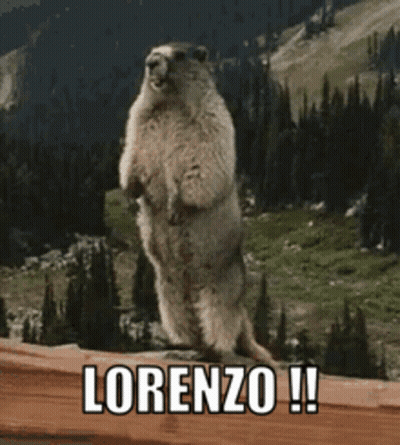 A Ground Squirrel Standing On Its Hind Legs With The Word Lorenzo Written On The Bottom GIF