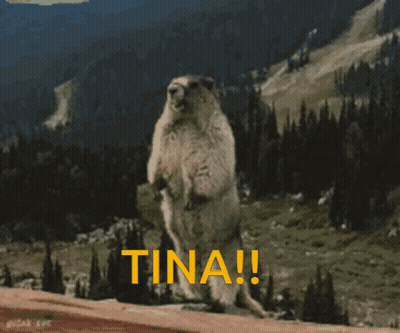 A Ground Squirrel Standing On Its Hind Legs With The Word Tina Written In Yellow GIF