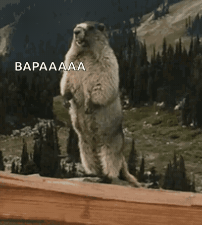 A Ground Squirrel Standing On Its Hind Legs With The Words Bapaaaa Written Above It GIF