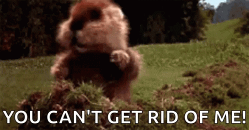 A Groundhog Is Standing In The Grass With The Words `` You Can 'T Get Rid Of Me ! '' GIF