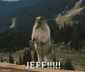 A Groundhog Is Standing On Its Hind Legs In Front Of A Mountain And Saying `` Jeff !!! '' . GIF