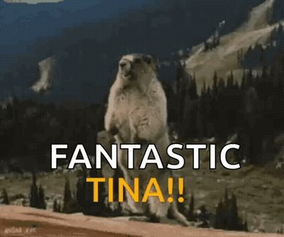 A Groundhog Is Standing On Its Hind Legs In Front Of A Mountain And The Words Fantastic Tina ! GIF