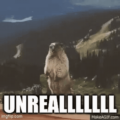 A Groundhog Is Standing On Its Hind Legs In Front Of A Mountain With The Words `` Unreal '' Written On The Bottom . GIF