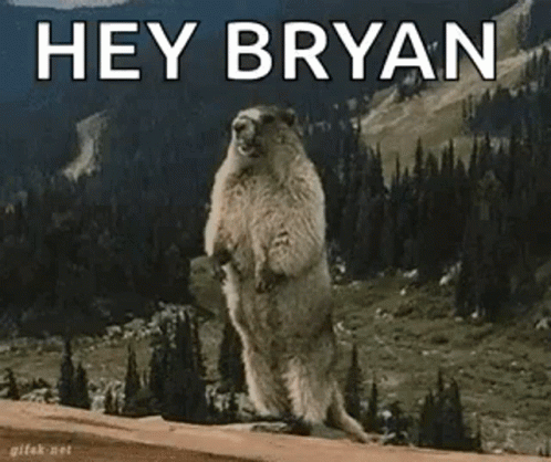 Groundhog Standing On Rock Saying Hey Bryan GIF