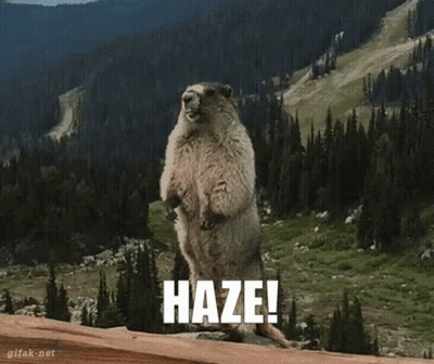 A Groundhog Is Standing On Its Hind Legs With The Word Haze Written On It GIF