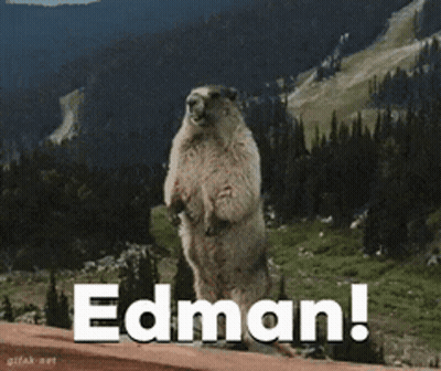A Groundhog Standing On Its Hind Legs With The Word Edman Written Below It GIF