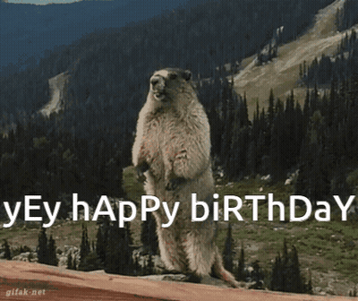 A Groundhog Standing On Its Hind Legs With The Words " Yey Happy Birthday " Above It GIF