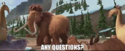 A Group Of Animals Are Standing In A Field With The Words Any Questions GIF