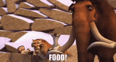 A Group Of Animals Are Standing Next To Each Other And One Of Them Says Food ! GIF