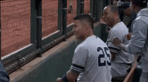 A Group Of Baseball Players Are Sitting In The Dugout . GIF