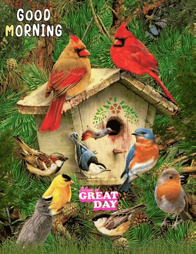 A Group Of Birds Sitting On Top Of A Birdhouse With The Words " Good Morning " On The Bottom GIF