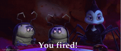 A Group Of Bugs Are Sitting Around A Table With The Words " You Fired " On The Bottom GIF