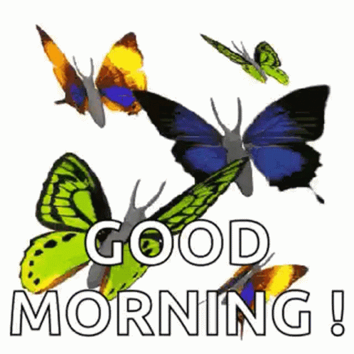 A Group Of Butterflies Are Flying Around The Words `` Good Morning ! '' GIF