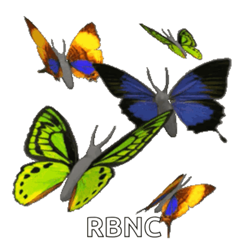 A Group Of Butterflies With The Word Rbnc Written Below Them GIF