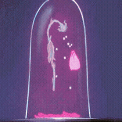 A Group Of Cartoon Characters Are Standing Around A Table With A Statue On Top Of It GIF