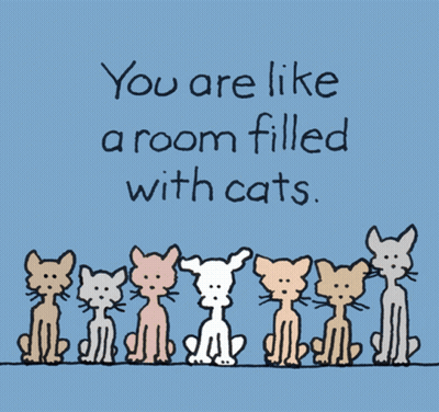 A Group Of Cats Holding A Sign That Says " Purr-Fection " GIF