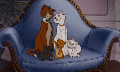 A Group Of Cats Sitting On A Blue Couch GIF