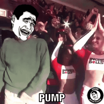 A Group Of Cheerleaders Wearing Chicago Bulls Uniforms Are Dancing In Front Of A Crowd . GIF