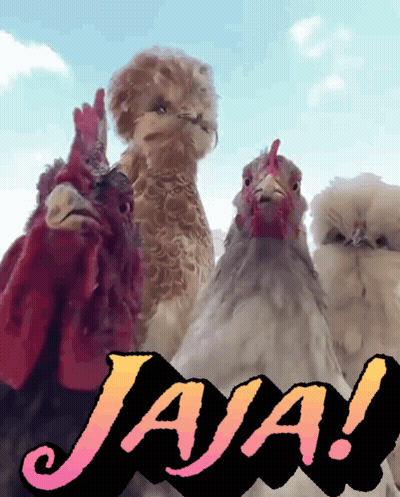 A Group Of Chickens Standing Next To Each Other With The Word Jaja In The Corner GIF