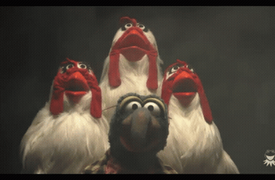 A Group Of Chickens With Red Beaks Are Standing Around A Turkey GIF