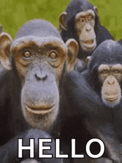 A Group Of Chimpanzees Standing Next To Each Other With The Words `` Hello '' Written In White Letters . GIF