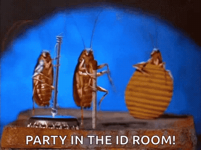 A Group Of Cockroaches Are Standing Next To Each Other On A Brick . GIF