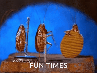 A Group Of Cockroaches Standing Next To Each Other On A Brick . GIF