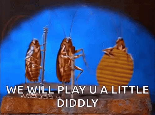 A Group Of Cockroaches Standing Next To Each Other On A Brick With The Words We Will Play U A Little Diddly GIF